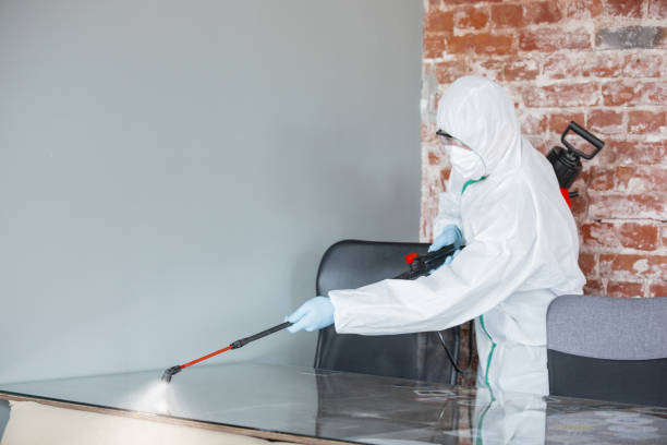 Shandon, CA Mold Removal Company